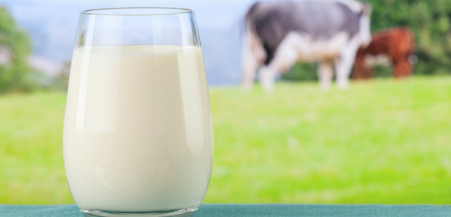 16 Haziran 2019 Tarihinden İtibaren Uygulamaya Girecek Olan Yeni Çiğ İnek Sütü Fiyatları
