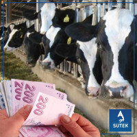 SÜT BEDELLERİ ÖDENİYOR ( 16 - 31 / MART / 2025 )