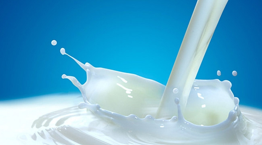 31 ayrı çiftlikte toplam 149 ton süt imha edildi
