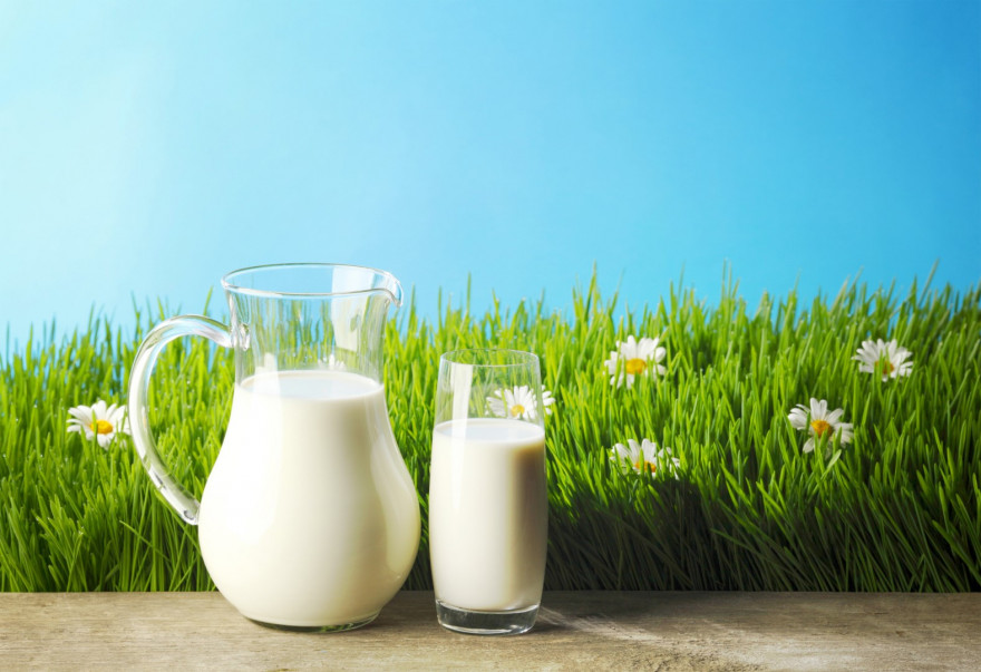 K.T. Süt Endüstrisi Kurumu Aflatoksinli Süt İddiası Konusunda Açıklama